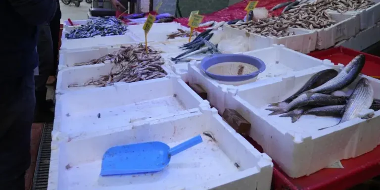 Karadeniz’de kötü havalar balık tezgahlarını vurdu!