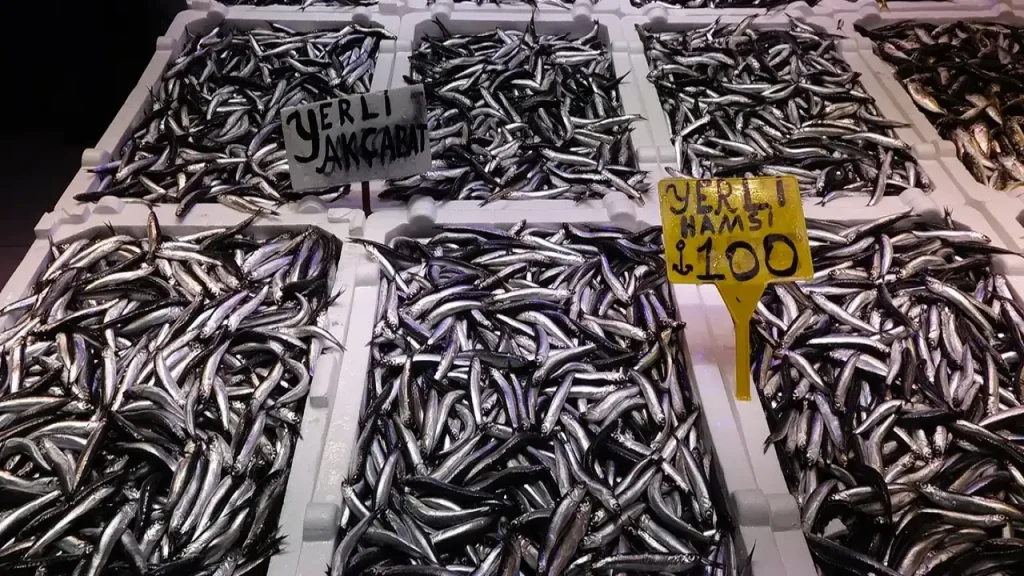 Trabzon’da hamsi bereketi: Tezgahlar şenlendi