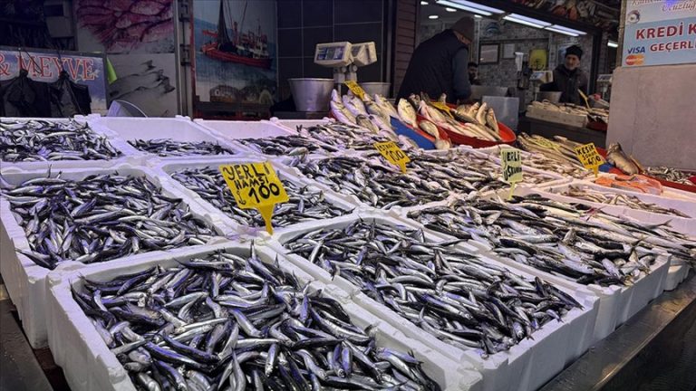 Trabzon’da hamsi ve istavrit 100 liradan satılıyor