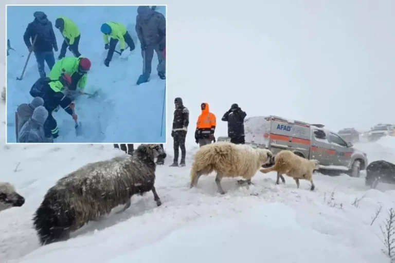 Artvin’deki çığ felaketinden acı haber geldi