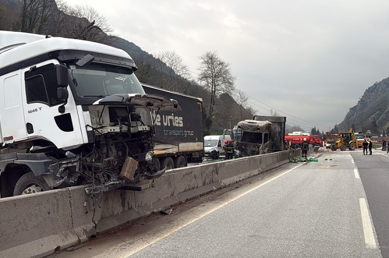 İki tır çarpıştı, D-650 savaş alanına döndü