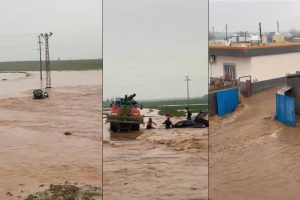 Mardin’de sağanak hayatı felç etti: Dereler taştı, ahır çöktü