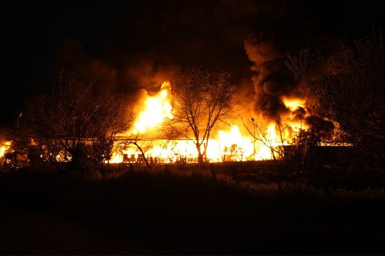 Samsun’da muz deposunda yangın: Alevler göğe yükseldi