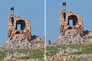 Tarihi yapıda tepki çeken halay