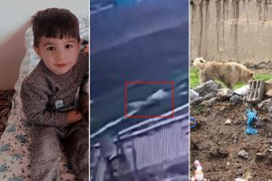 5 yaşındaki Hamza’nın can verdiği köpek dehşetinin görüntüleri ortaya çıktı