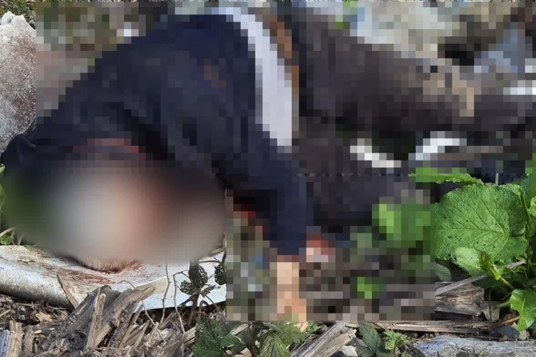 Düzce’de cinayet çözüldü: Şüpheli suçunu itiraf etti