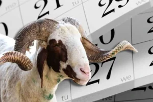 Kurban Bayramı tatili 9 gün oldu