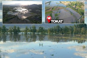 Tokat’ta Yeşilırmak taştı, tarım arazileri sular altında kaldı